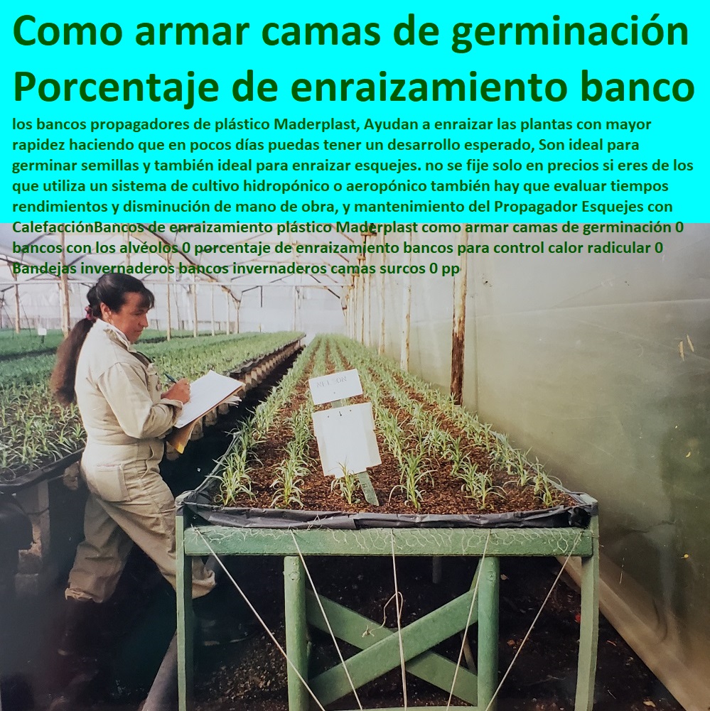 Bancos de enraizamiento plástico Maderplast como armar camas de germinación 0 bancos con los alvéolos 0 porcentaje de enraizamiento HIDROPONÍA, AGRICULTURA, COSECHA, POSCOSECHA, Tutores para Flores cable vía Bananas Aromáticas, Cultivos Tecnificados, Invernaderos, Semilleros, Bancos De Siembra, bancos para control calor radicular 0 Bandejas invernaderos bancos invernaderos camas surcos 0 pp Bancos de enraizamiento plástico Maderplast como armar camas de germinación 0 bancos con los alvéolos 0 porcentaje de enraizamiento bancos para control calor radicular 0 Bandejas invernaderos bancos invernaderos camas surcos 0 pp